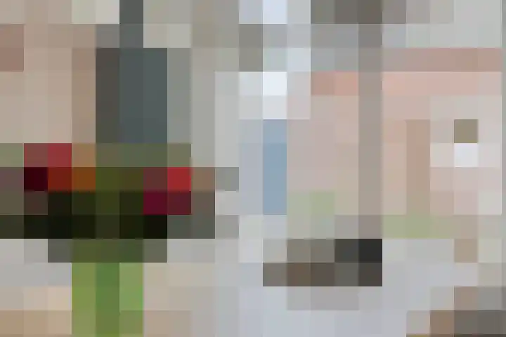 De Hogt 1 Waalre thumbnail 12