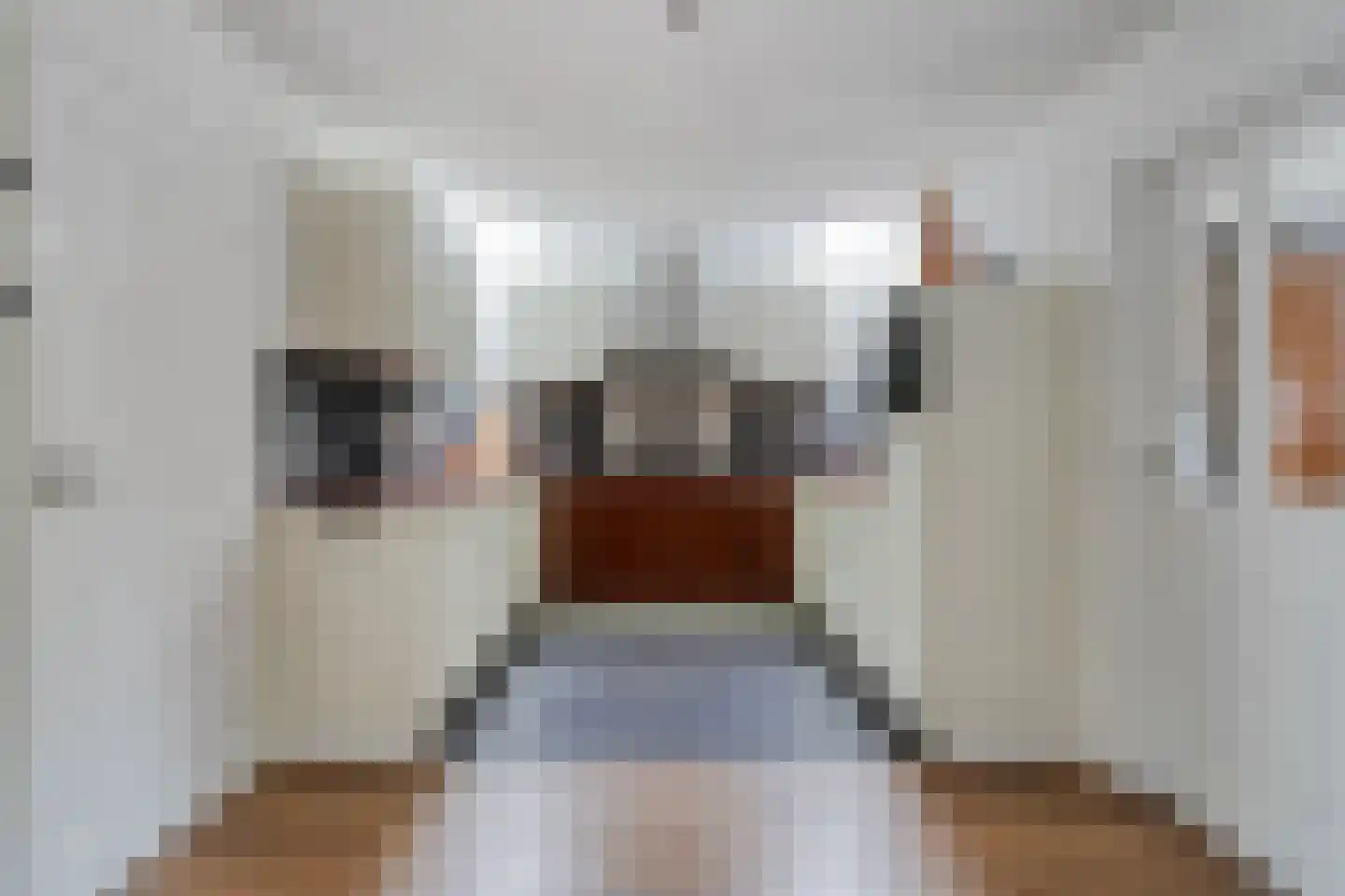 De Hogt 1 Waalre thumbnail 13