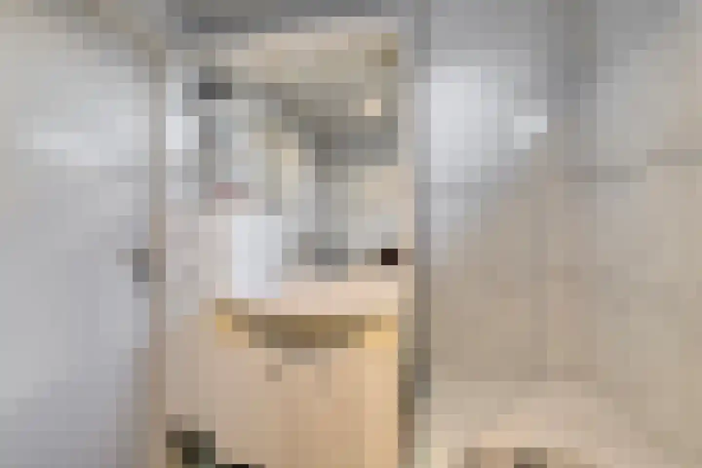 De Hogt 1 Waalre thumbnail 18