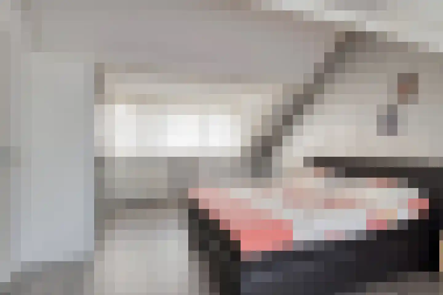 De Hogt 1 Waalre thumbnail 19