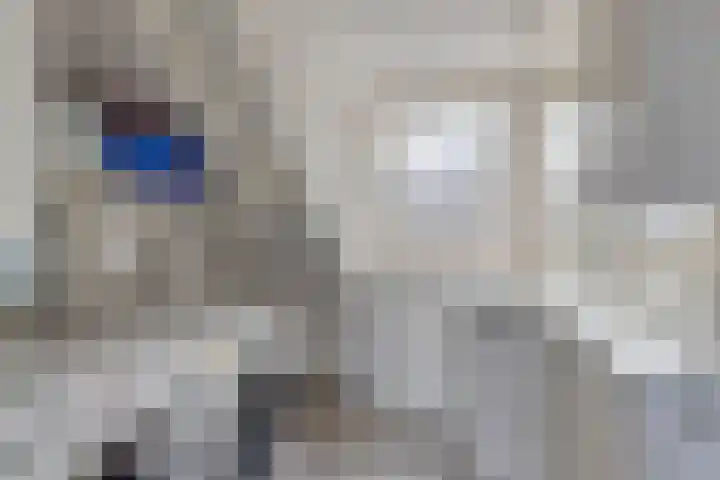 De Hogt 1 Waalre thumbnail 22