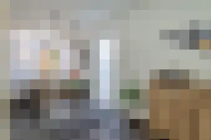 De Hollandergraven 9 Westerhaar-Vriezenveensewijk thumbnail 13