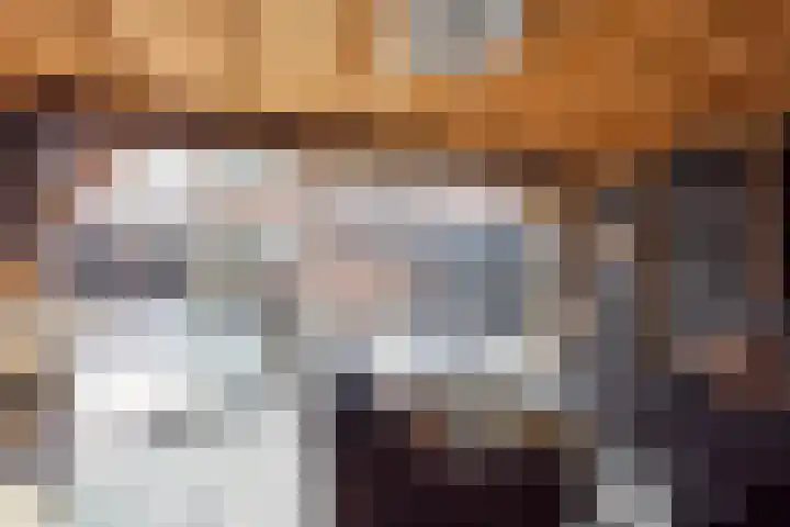 De Hollandergraven 9 Westerhaar-Vriezenveensewijk thumbnail 31