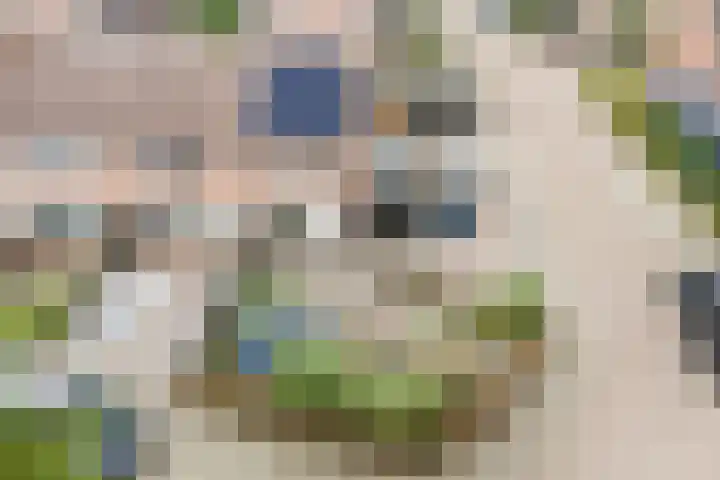De Hollandergraven 9 Westerhaar-Vriezenveensewijk thumbnail 34
