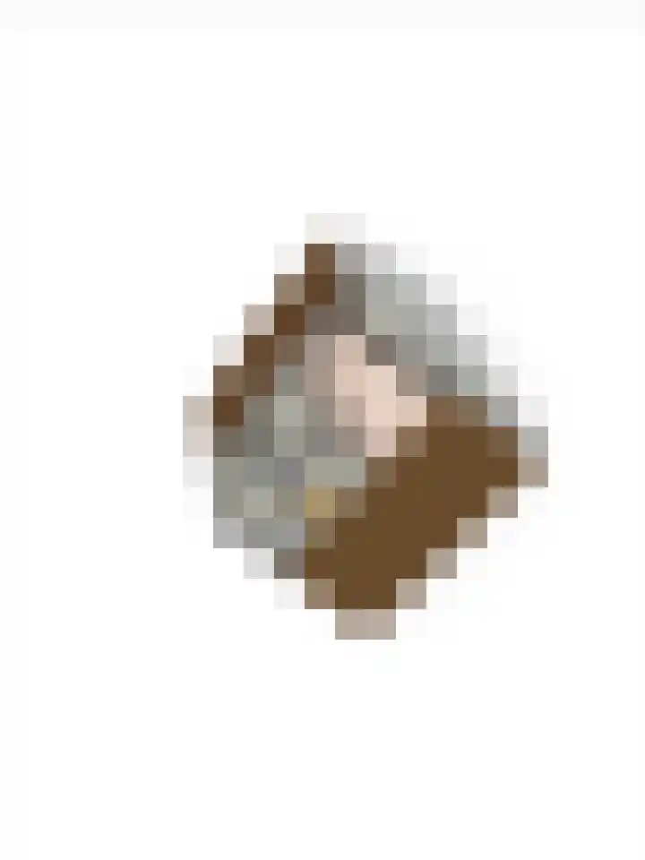 De Hollandergraven 9 Westerhaar-Vriezenveensewijk thumbnail 40