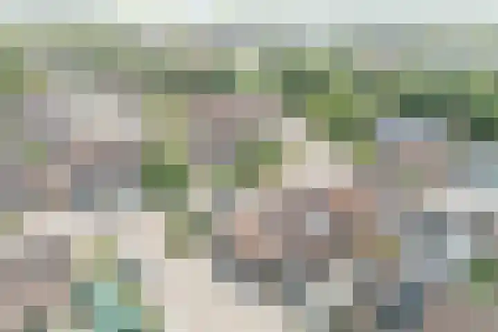 De Hollandergraven 9 Westerhaar-Vriezenveensewijk thumbnail 5