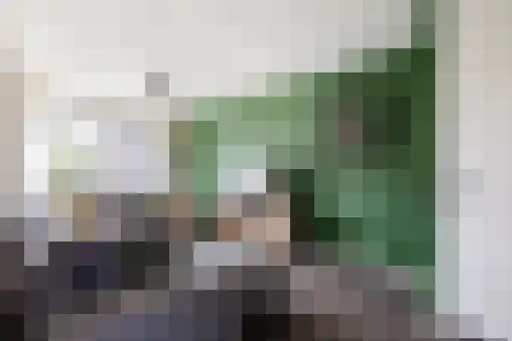 De Hollandergraven 9 Westerhaar-Vriezenveensewijk thumbnail 9