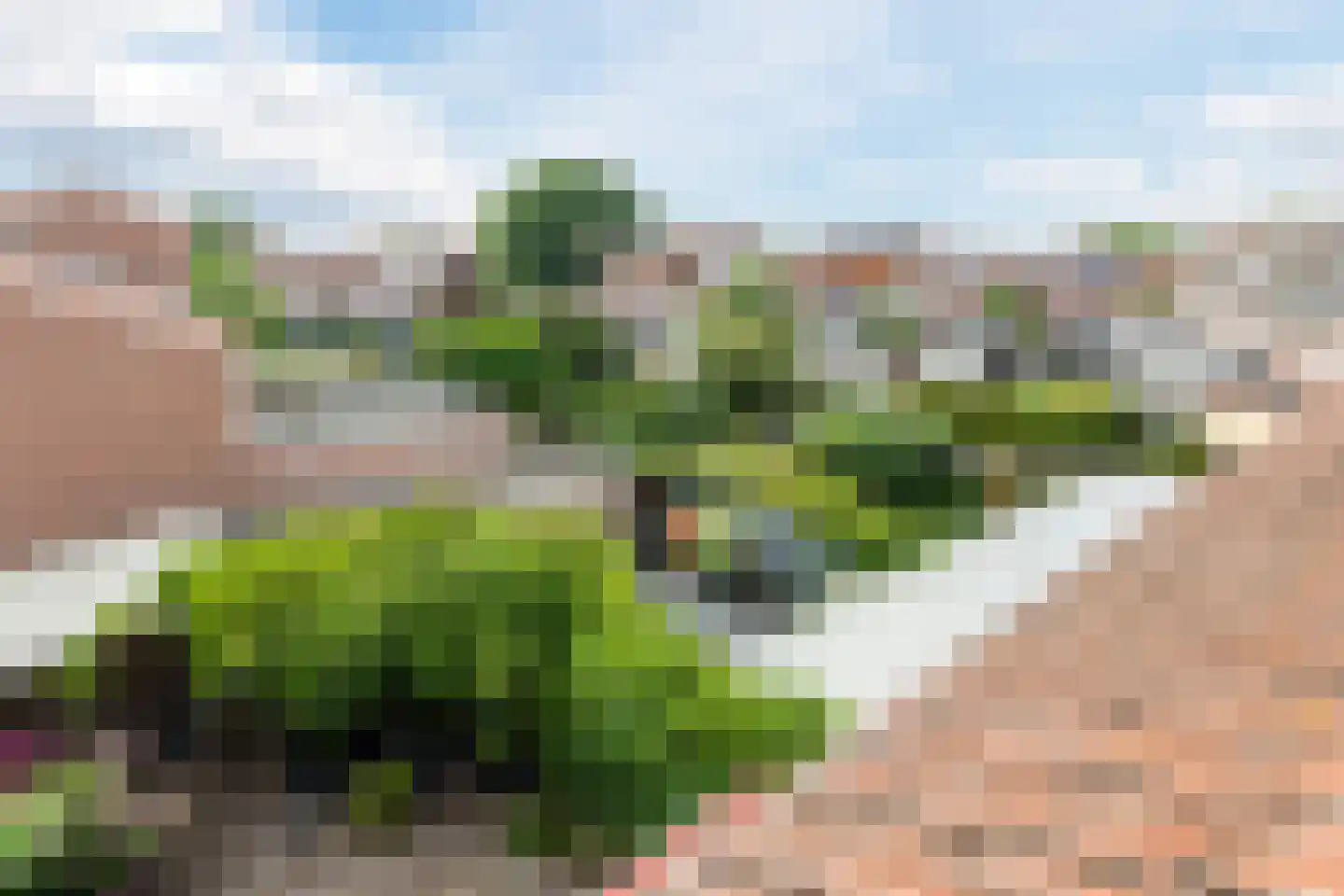 De Hollandse Tuin 68 Uitgeest thumbnail 43