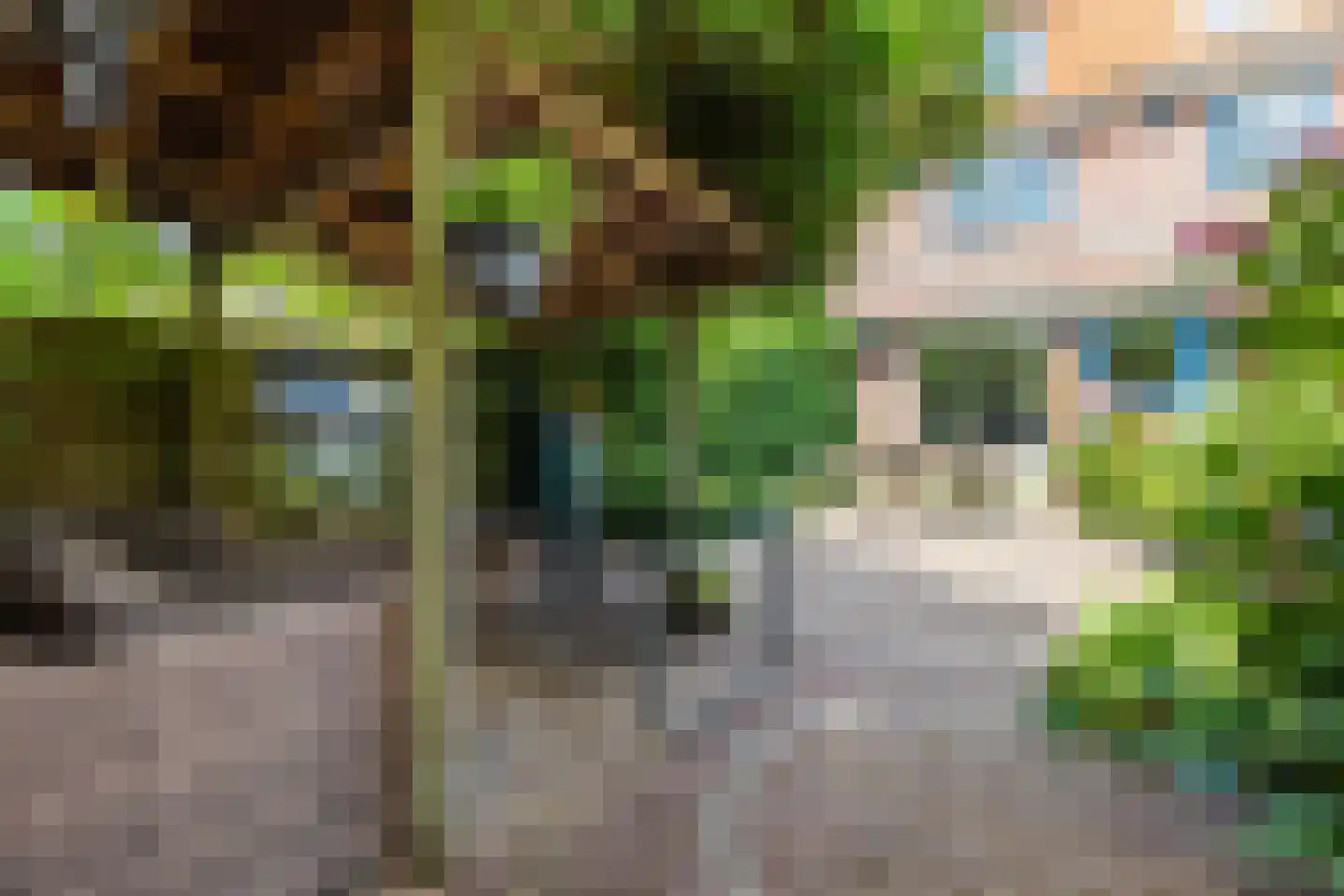 De Hollandse Tuin 68 Uitgeest thumbnail 49
