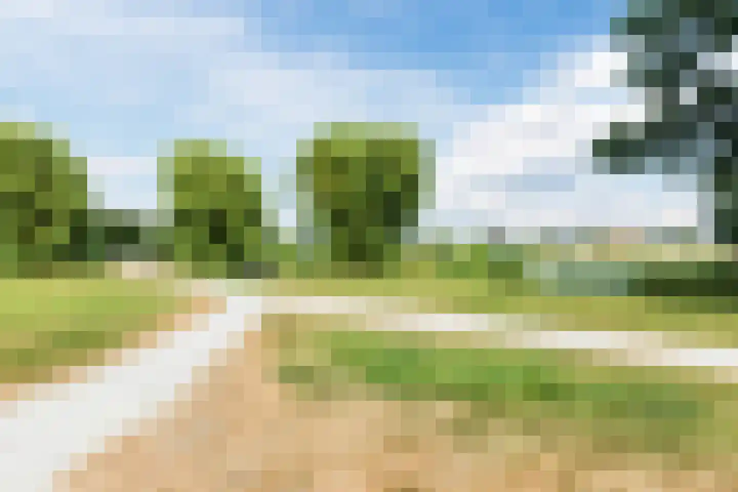 De Hollandse Tuin 68 Uitgeest thumbnail 54