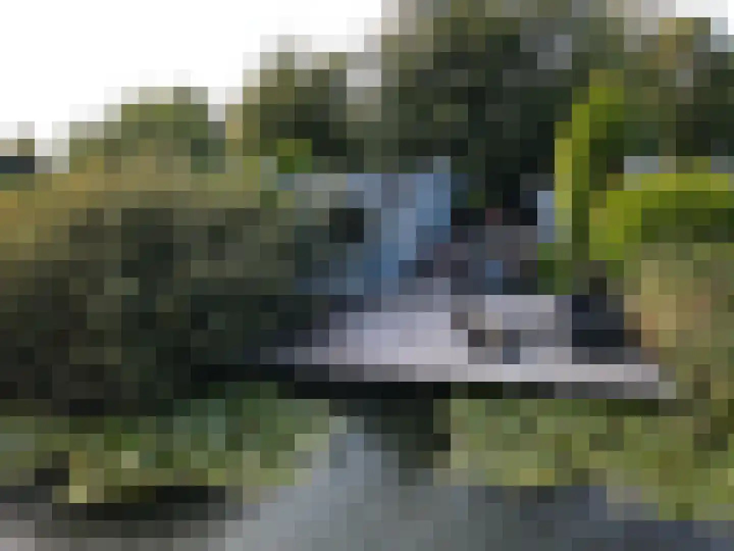 De Holle Poarte 2 F346 Makkum thumbnail 18