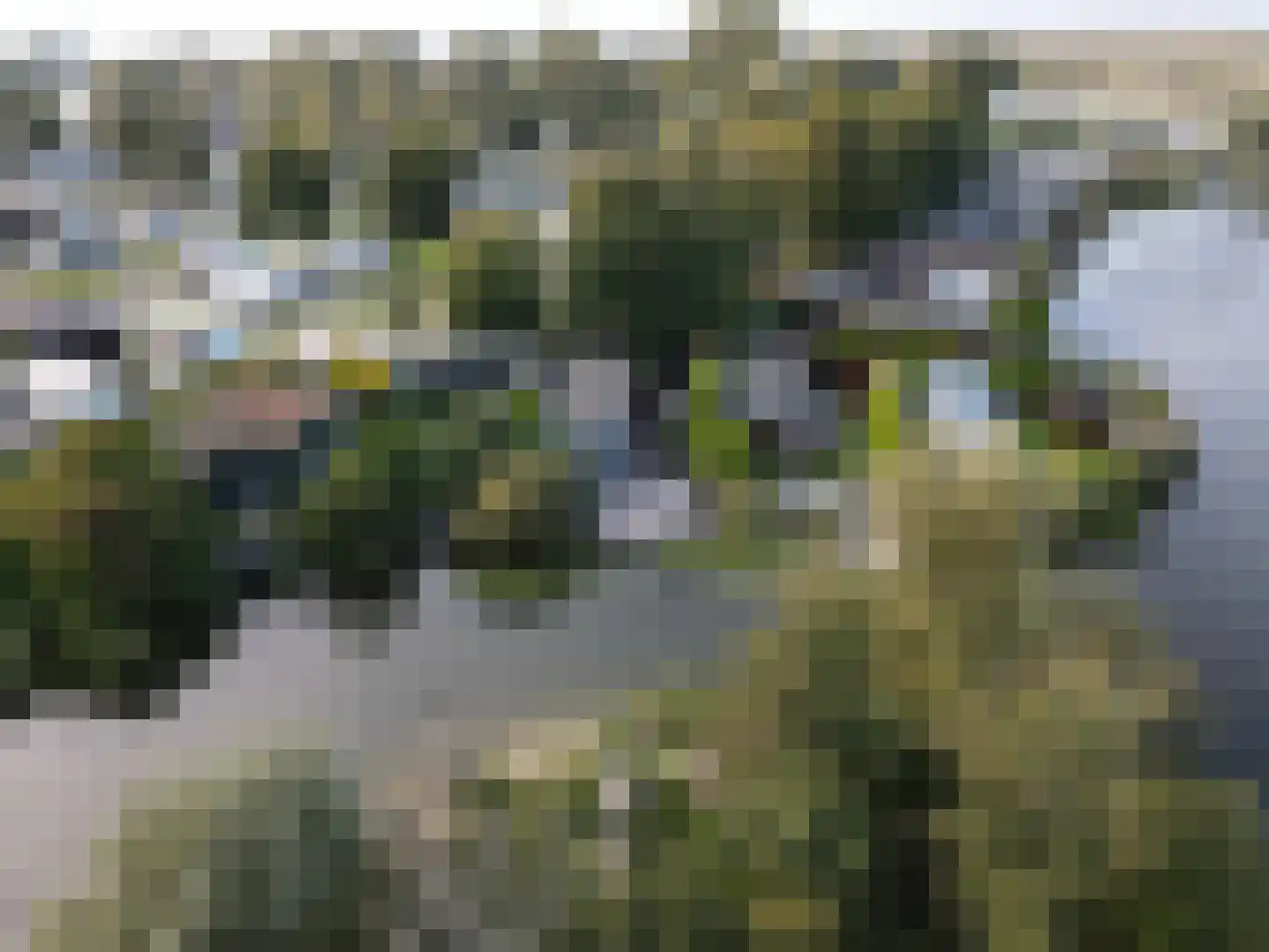 De Holle Poarte 2 F346 Makkum thumbnail 21