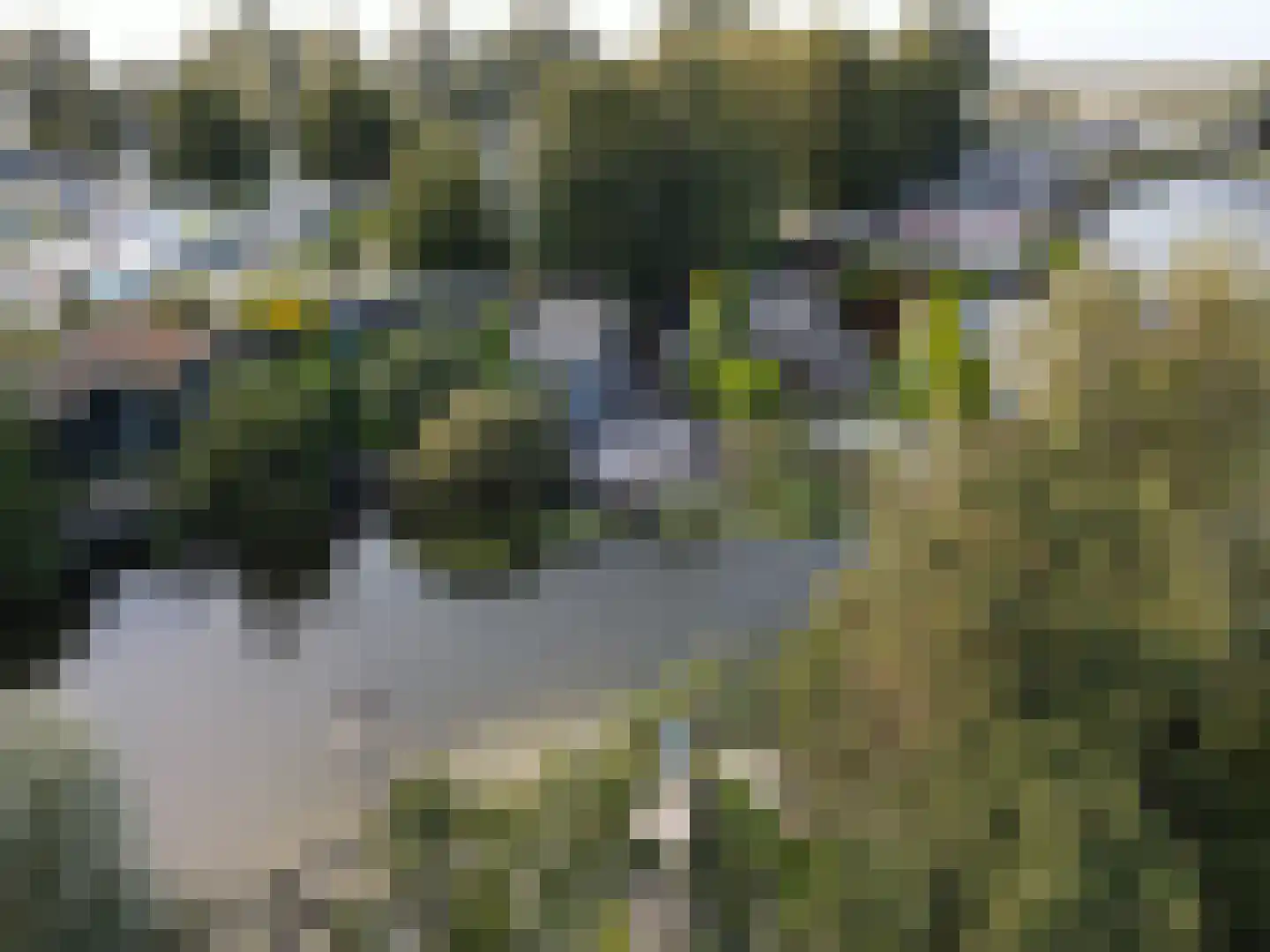 De Holle Poarte 2 F346 Makkum thumbnail 25