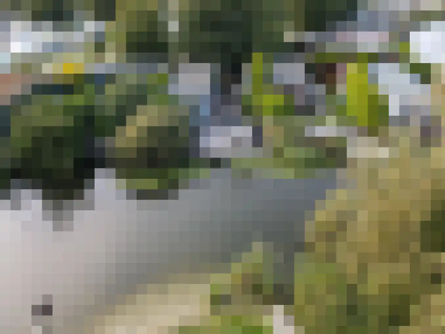 De Holle Poarte 2 F346 Makkum thumbnail 27