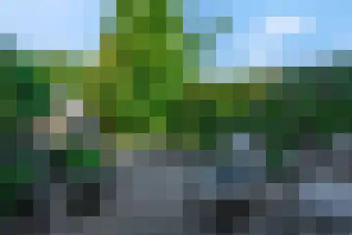 De Hollentoren 48 Rhenen thumbnail 26