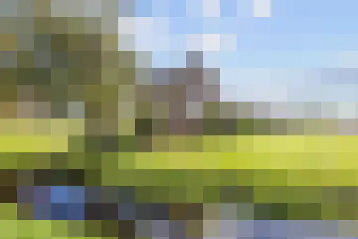 De Holm 15 I Tolbert thumbnail 10