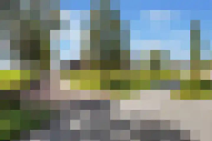 De Holm 15 I Tolbert thumbnail 11