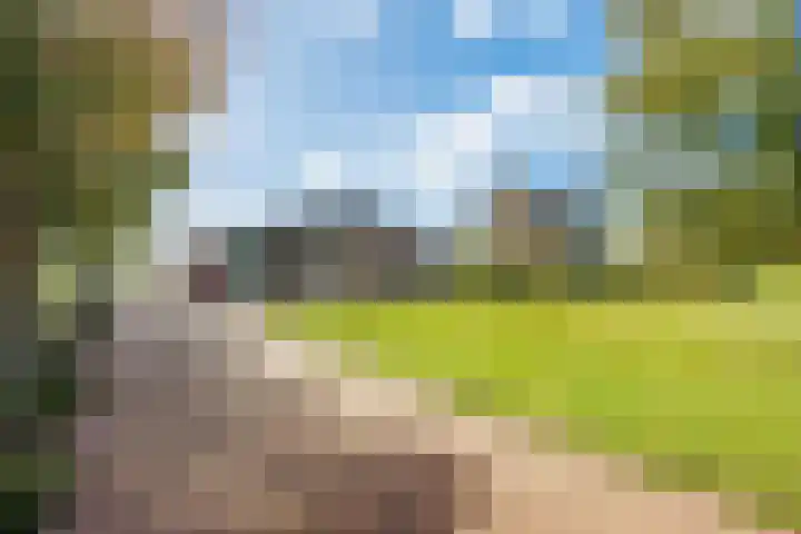 De Holm 15 I Tolbert thumbnail 12