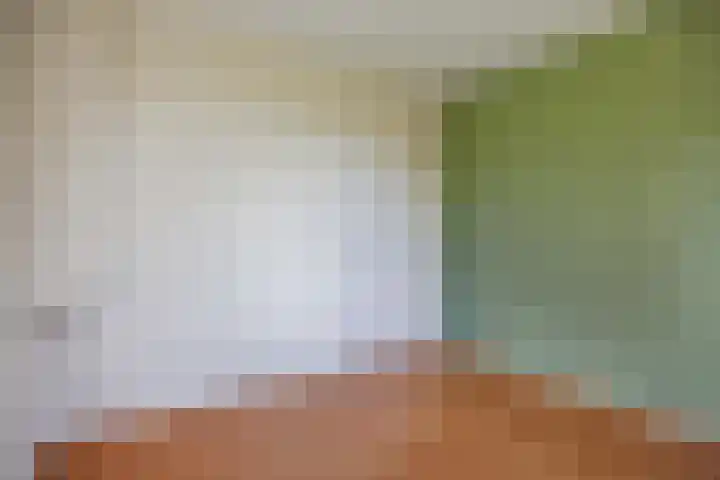 De Holm 15 I Tolbert thumbnail 17
