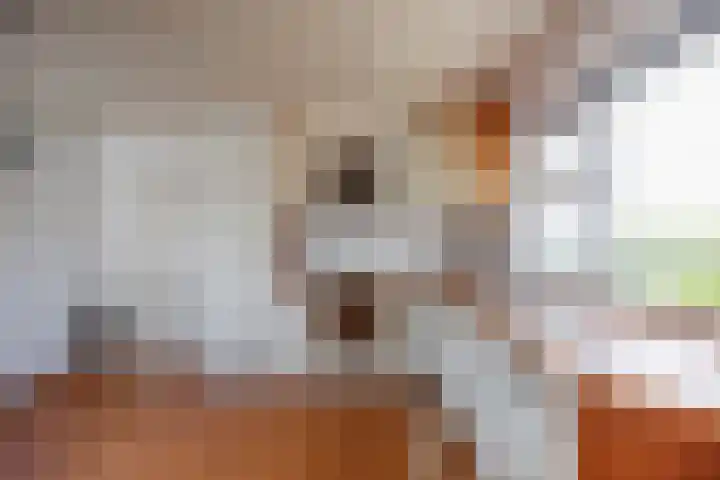 De Holm 15 I Tolbert thumbnail 25