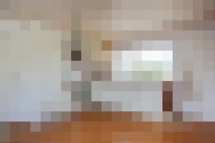 De Holm 15 I Tolbert thumbnail 4