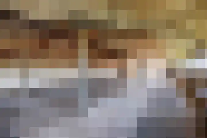 De Holm 15 I Tolbert thumbnail 49