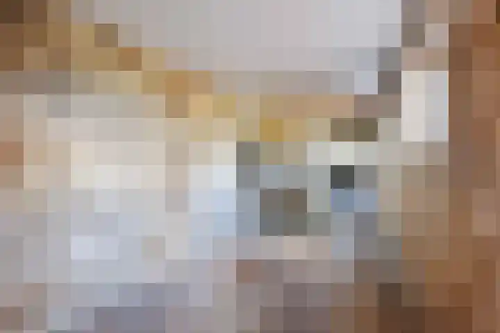 De Holm 15 I Tolbert thumbnail 53