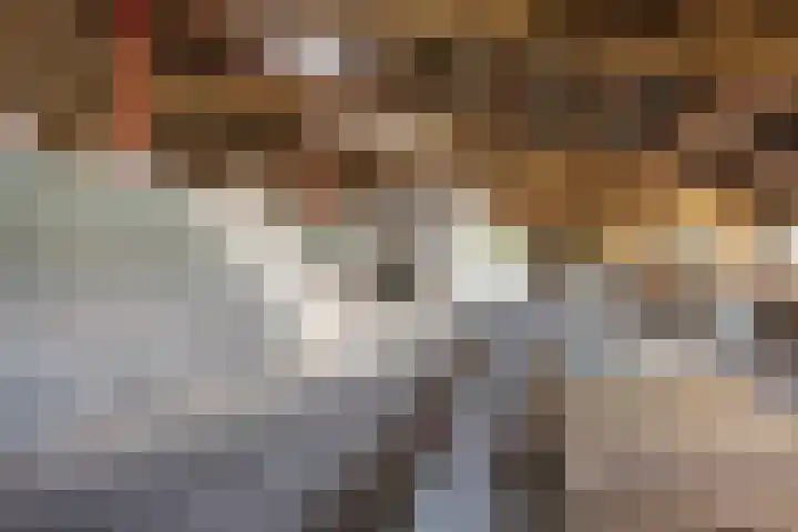 De Holm 15 I Tolbert thumbnail 54