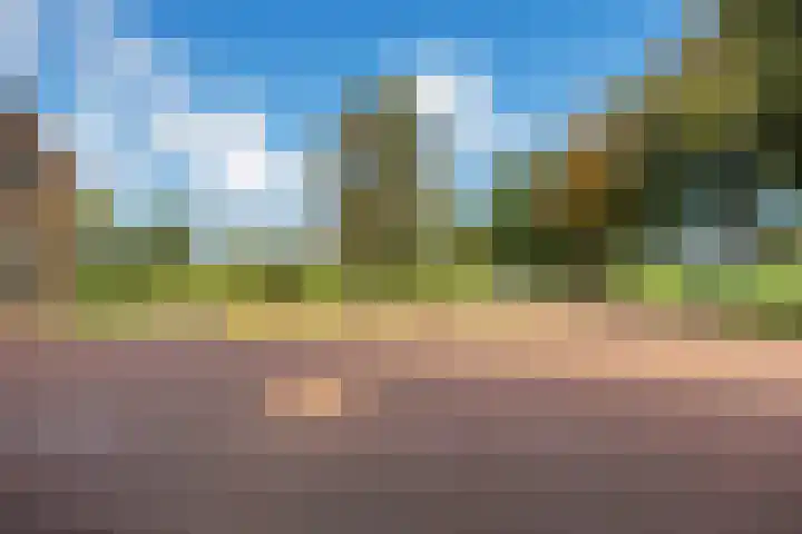 De Holm 15 I Tolbert thumbnail 58