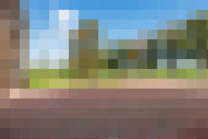 De Holm 15 I Tolbert thumbnail 59