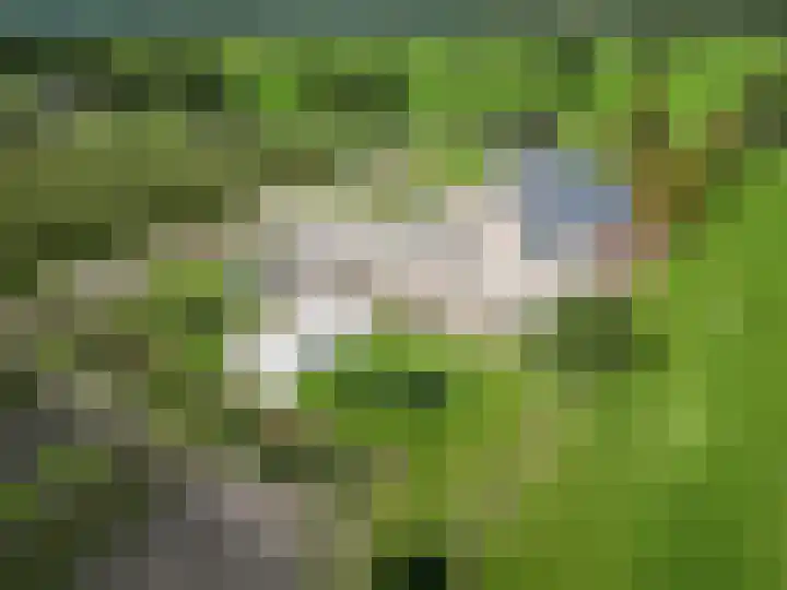De Holm 15 I Tolbert thumbnail 6