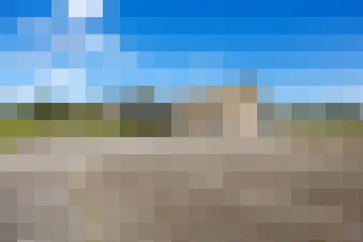 De Holm 15 I Tolbert thumbnail 60