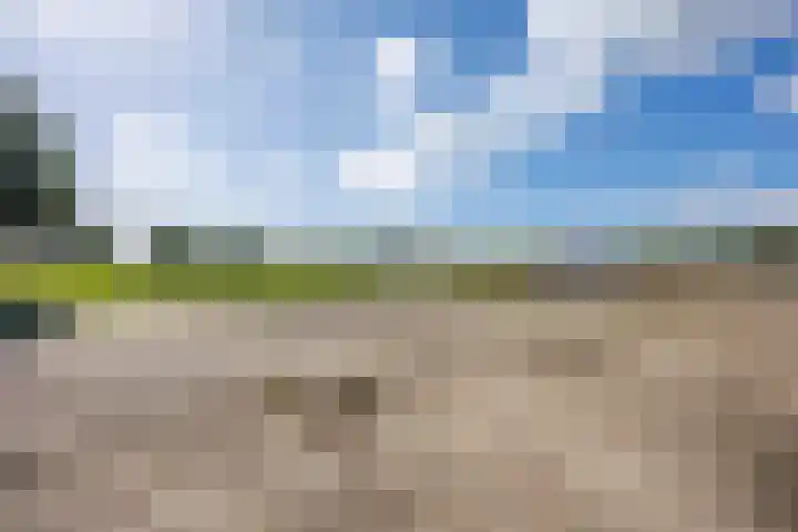 De Holm 15 I Tolbert thumbnail 63