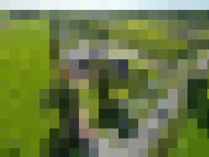 De Holm 15 I Tolbert thumbnail 64