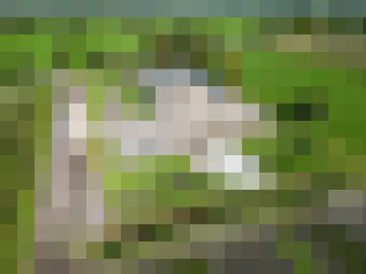De Holm 15 I Tolbert thumbnail 67