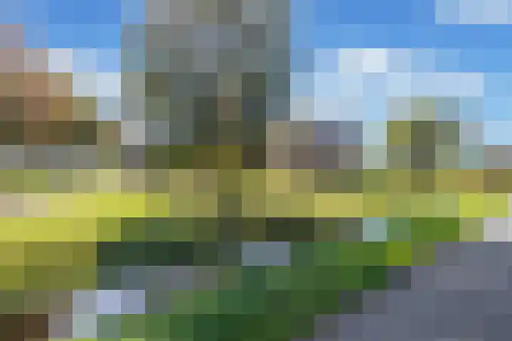 De Holm 15 I Tolbert thumbnail 8