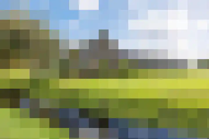 De Holm 15 I Tolbert thumbnail 9