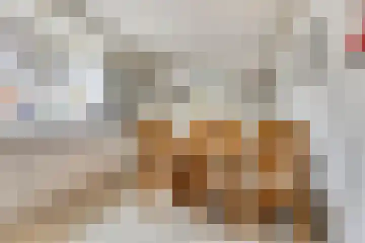 De Holm 8 Tolbert thumbnail 12