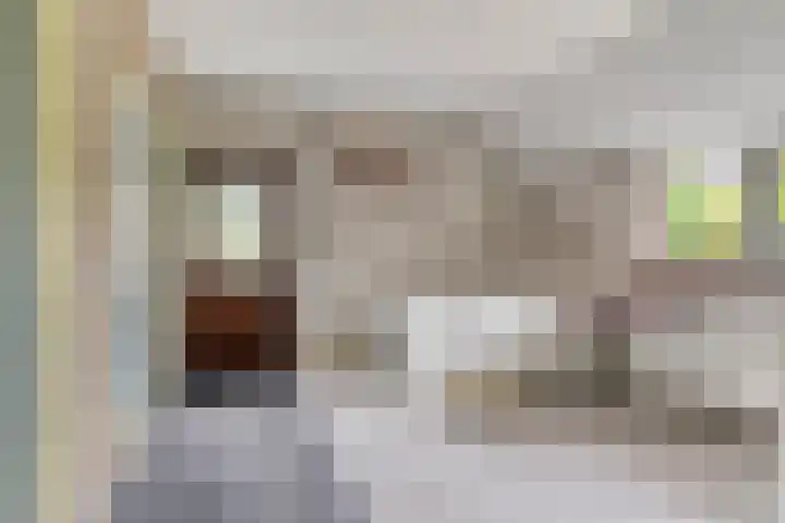 De Holm 8 Tolbert thumbnail 13
