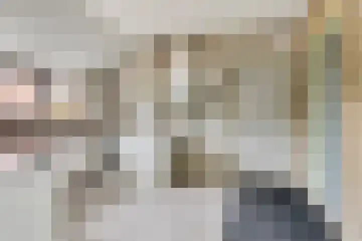 De Holm 8 Tolbert thumbnail 14