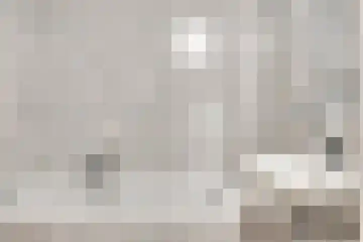 De Holm 8 Tolbert thumbnail 16