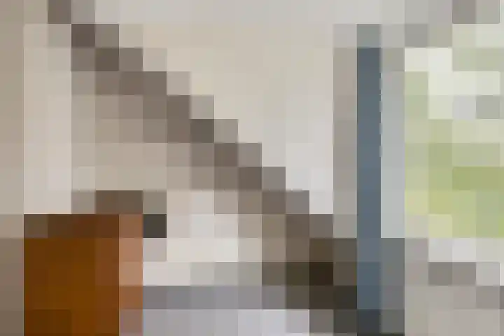 De Holm 8 Tolbert thumbnail 23