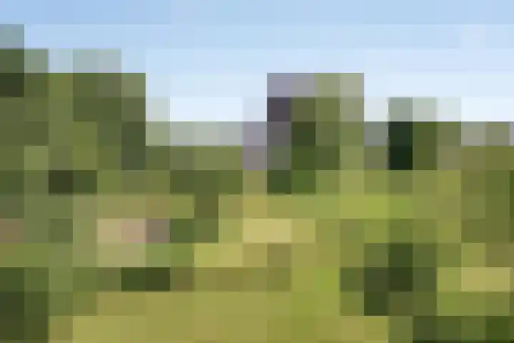 De Holm 8 Tolbert thumbnail 32