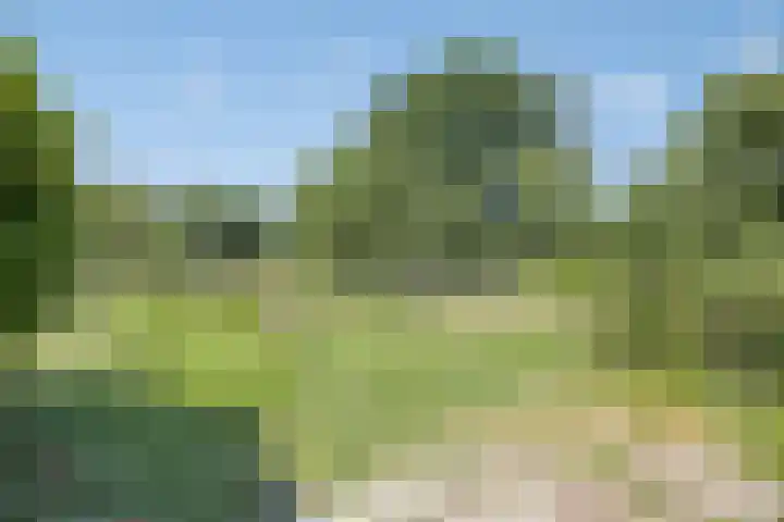 De Holm 8 Tolbert thumbnail 34