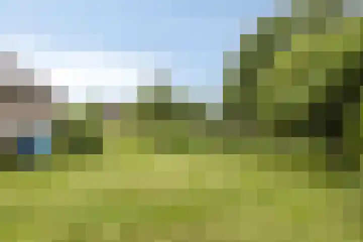 De Holm 8 Tolbert thumbnail 35