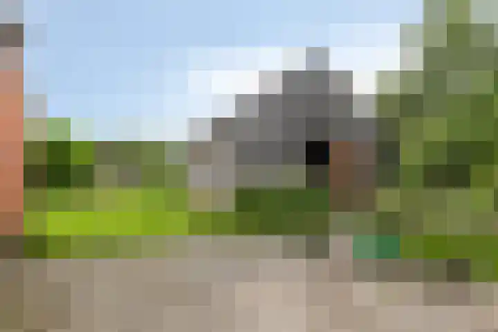 De Holm 8 Tolbert thumbnail 36