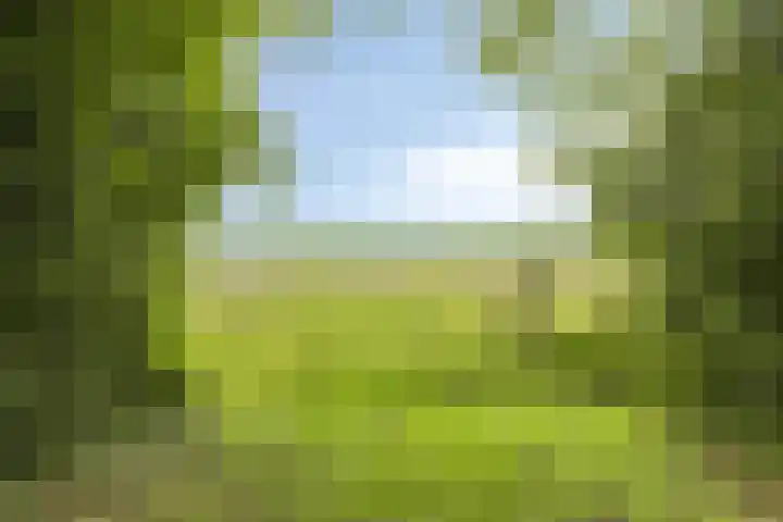 De Holm 8 Tolbert thumbnail 38