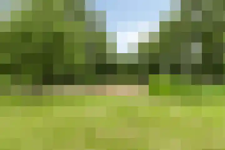De Holm 8 Tolbert thumbnail 39