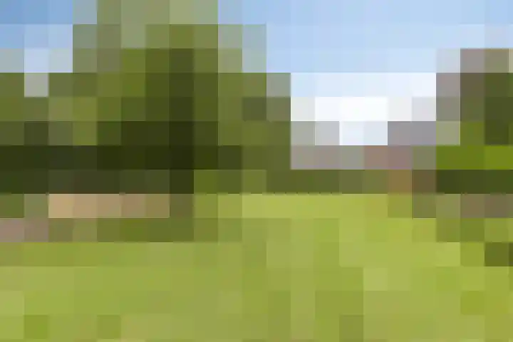 De Holm 8 Tolbert thumbnail 40