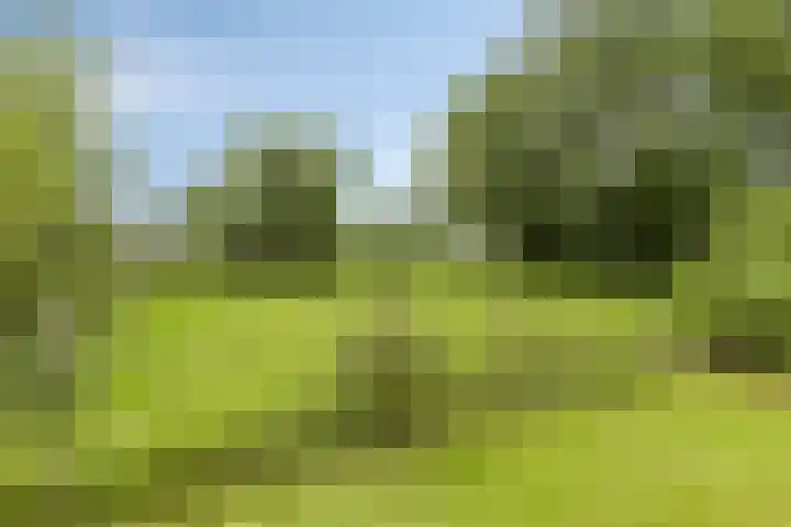 De Holm 8 Tolbert thumbnail 41